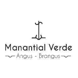 MANANTIAL VERDE