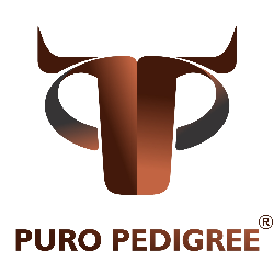 PURO PEDIGREE