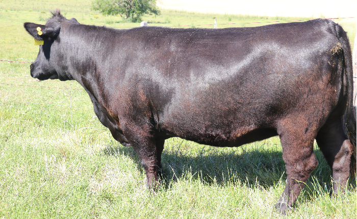 SIERRA VENTURE 836 TE X HEREDERO