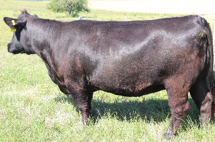 SIERRA VENTURE 836 TE X HEREDERO