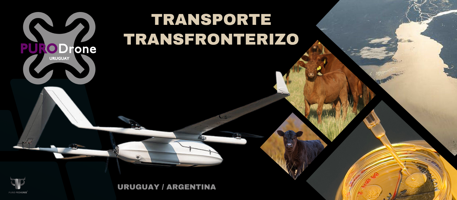 Puro Drone