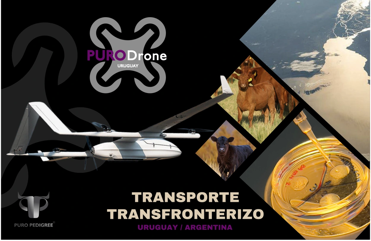 Puro Drone