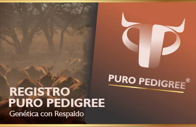 Registro Puro Pedigree